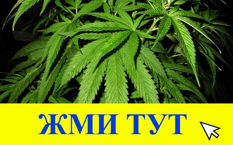 Купить наркотики в Томске